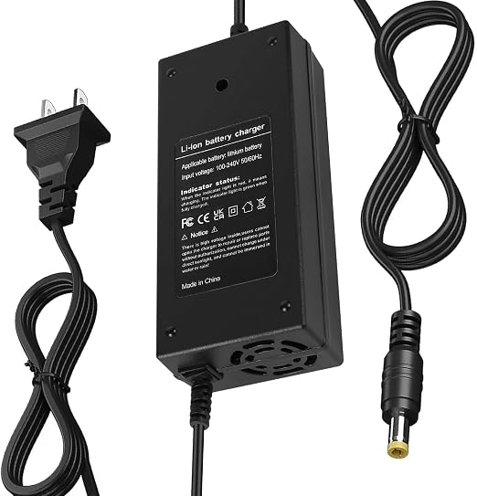 CARGADOR 54V